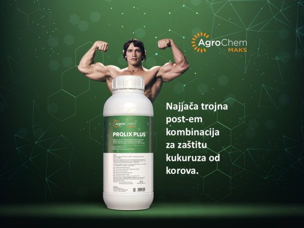 PROLIX PLUS /PRINCIPAL PLUS