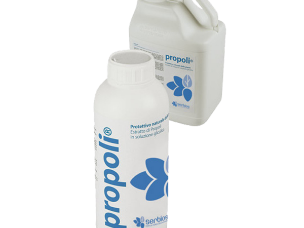 Propoli
