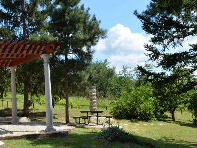 Provedite dan u prirodi