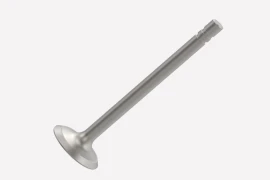 R79624 - VENTIL ISPUHA MOTORA - STD