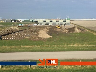 Radnik/radnica na branju i pakiranju rajčica