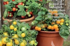 Rajčica BALKONSKI TRIO