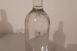 Rakija dunjevača i šljivovica