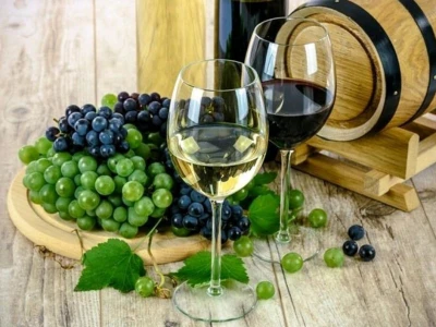 Rakija i vino na prodaju