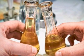 Rakija i vino na prodaju