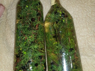 Rakija Klekovača