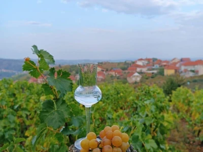 Rakija Loza i Komovica