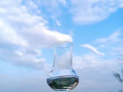 Rakija od Dunje