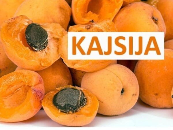 Rakija od kajsije 18 gradi 45 stepeni