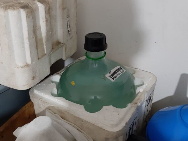 Rakija prepecenica od BOROVNICE