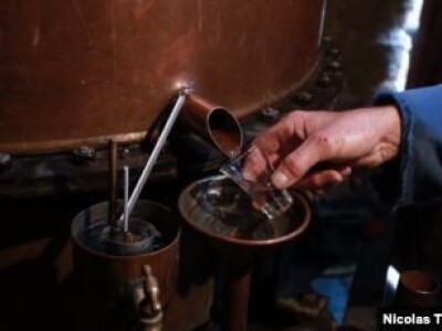 RAKIJA Stara odstojala