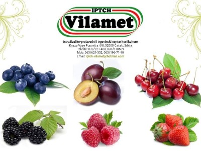 Rasadnik IPTCH-VILAMET