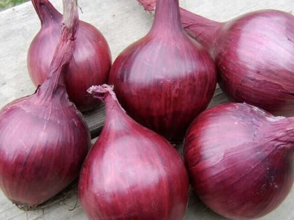 Red Baron 14/21, 1kg