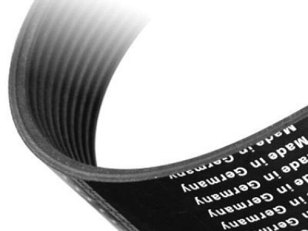 Remen za sadilice kukuruza Becker, Olt, Gaspardo, Carraro, Eberhart