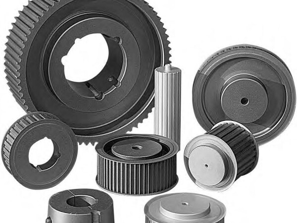 REMENICE - klinaste, zupčaste, poly