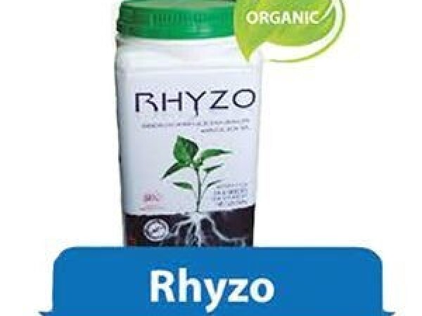  Rhyzo