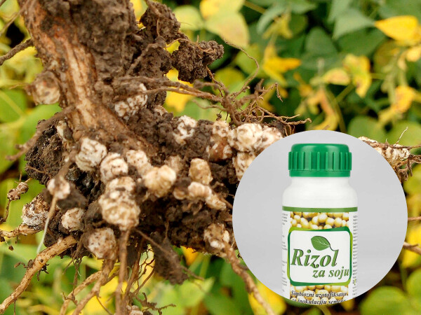 Rizol za soju - mikrobiološko tekuće gnojivo za inokulaciju sjemena soje