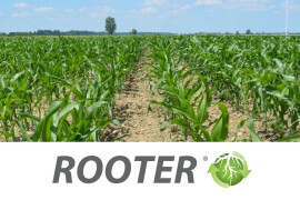 ROOTER - aktivator boljeg ukorenjavanja biljaka
