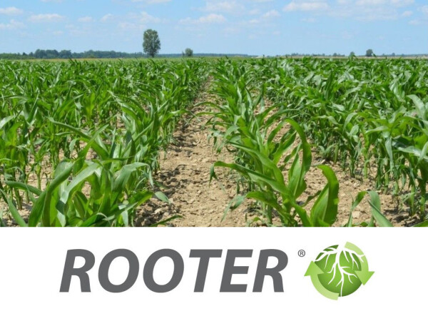 ROOTER - aktivator boljeg ukorenjavanja biljaka
