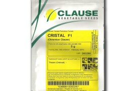 Rajčica CRISTAL F1 a 5 grama