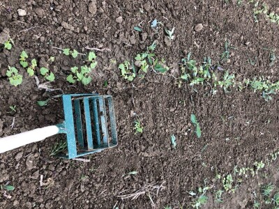 Ručna freza RF-200fix