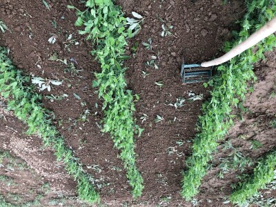 Ručna freza RF-200fix