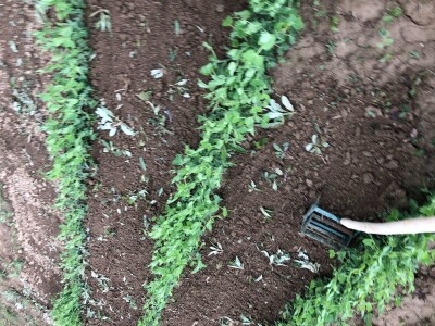 Ručna freza RF-200fix