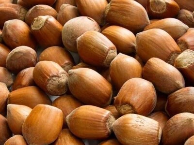 Sadnice koštunjavog voća – Breskve, kajsije, šljive, orasi!