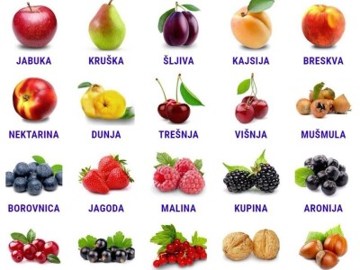 Sadnice voća I klase