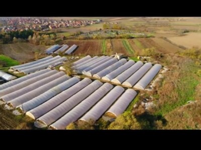 Salas u Velikim Radincima