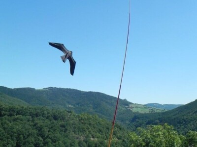 Scarybird - Čuvar vaših usjeva i plodova traži distributere za BIH!