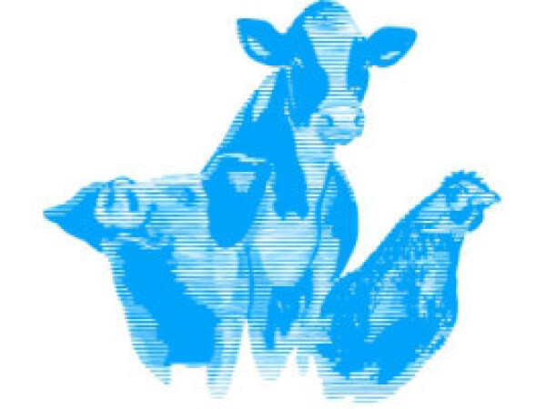 SCHAUMA - TOX  klinoptilolit iz Austrije veže aflatoksin