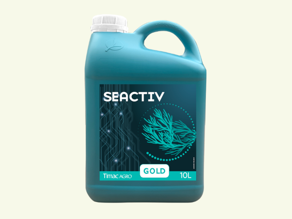 Seactiv Gold
