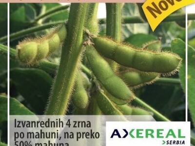 Seme soje ES PALLADOR