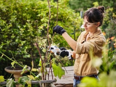 Set akumulatorske škare za rezidbu ASA 20 - AS sistem - Stihl