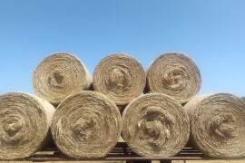 Sijeno u rolo balama