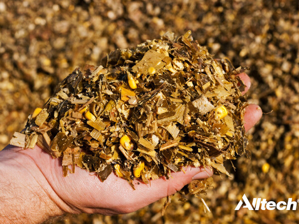 Sil-All4x4+ inokulant za silažu