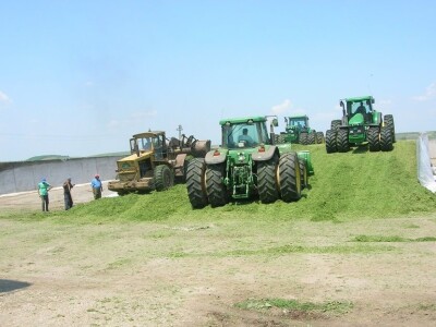 Silko za lucernu - priprema silaže