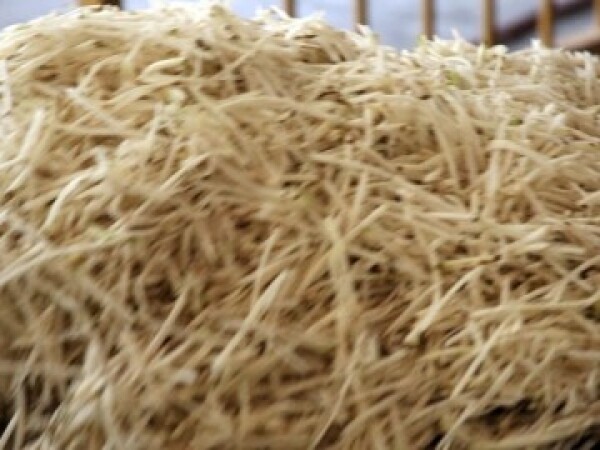 Sirovi prešani rezanac