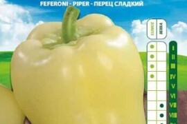 Sjeme paprike Šorokšari