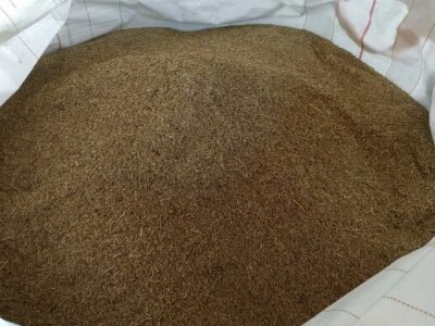 Sjeme talijanskog ljulja - ŠALJEM POŠTOM