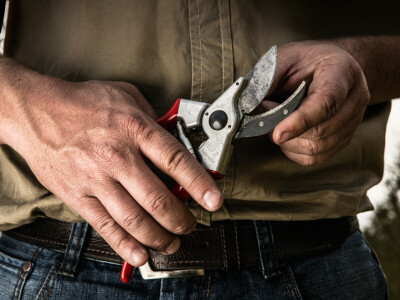 Škare za rezidbu FELCO 2