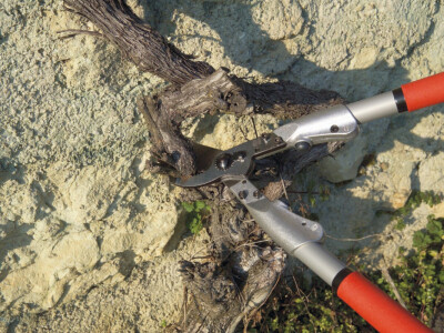 Škare za rezidbu FELCO 200A-40