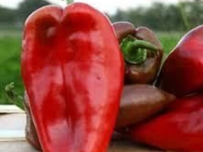 Paprika Slonovo uho 25 gr