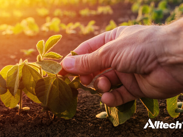SOIL-SET® AID - Alltechovo rješenje za zdravo tlo