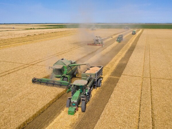 Solenzara – RWA ozima pšenica