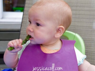 Špargla koren jednogodišnji