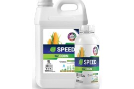 SPEED for CORN