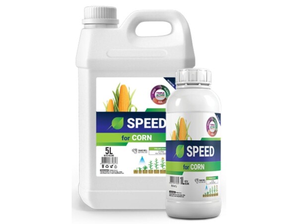 SPEED for CORN