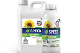 SPEED for SOYASUN